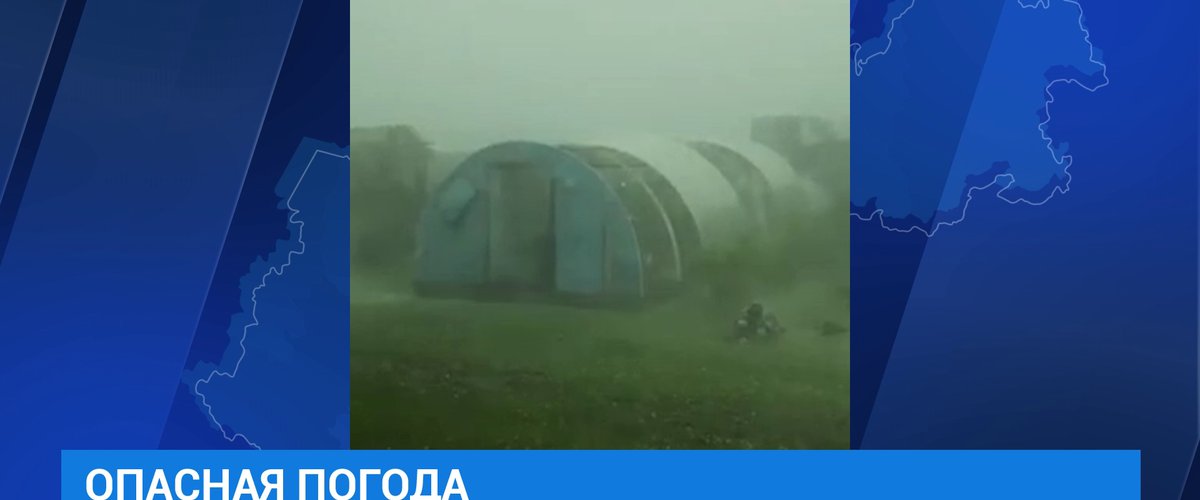 Внезапные ливни эльзы уильямс схема