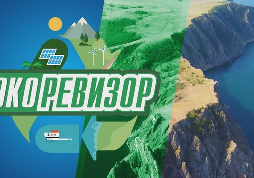"Экоревизор"